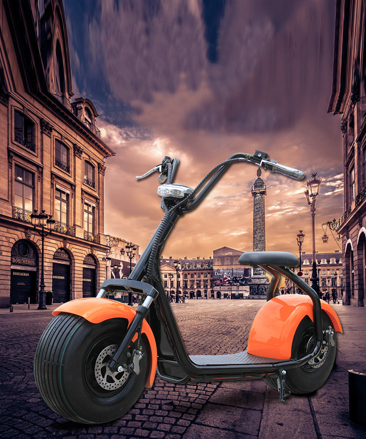 E7-208 City bike