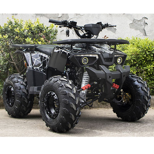 125cc ATV Quad (A7-22A )