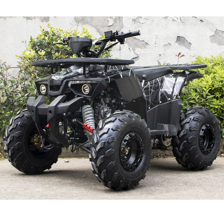 125cc ATV Quad (A7-22A )