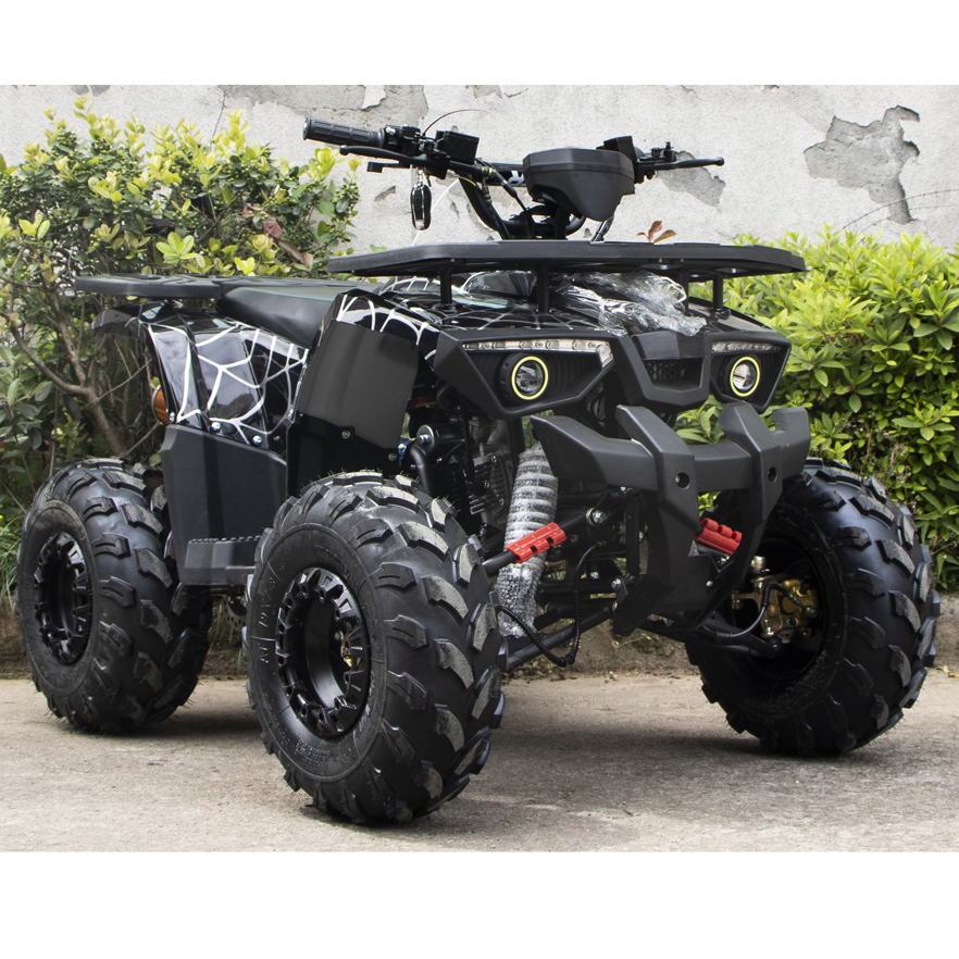 125cc ATV Quad (A7-22A )