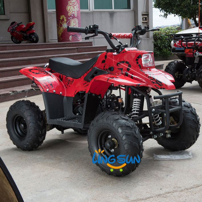 80cc ATV Quad ( A7-02 G)