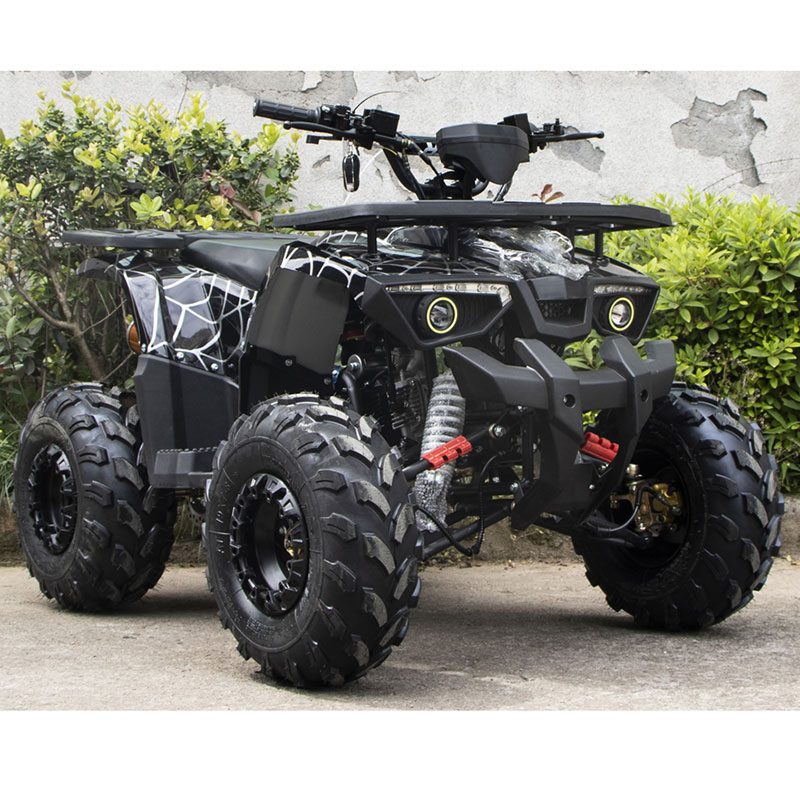 125cc ATV Quad (A7-22 A )