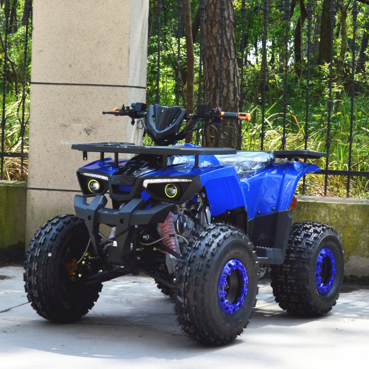 125cc ATV Quad (A7-22A )