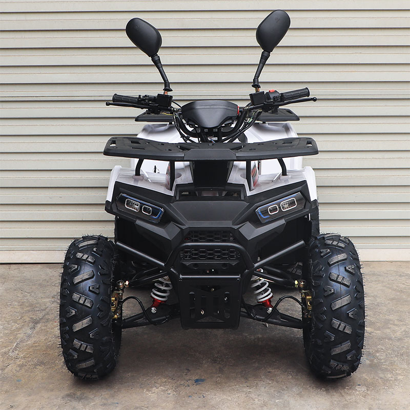 125cc ATV Quad (A7-11)