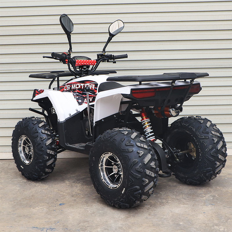 125cc ATV Quad (A7-11)