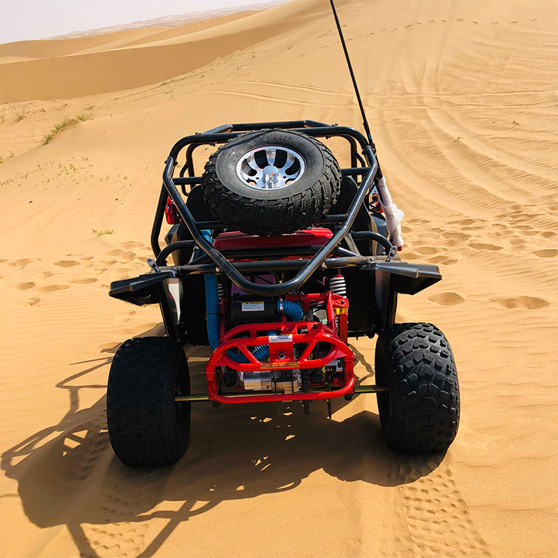 200cc Go kart (G7-12)