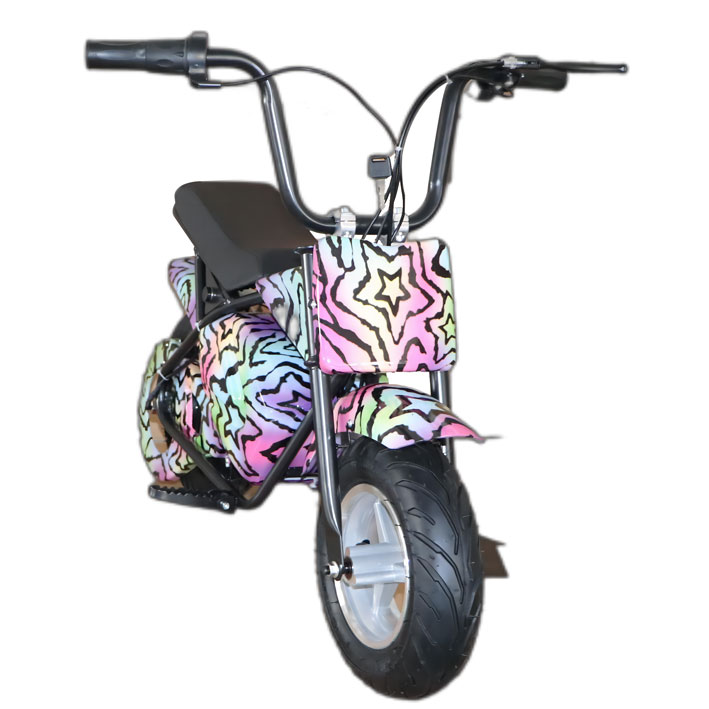 E7-110 Electric bike