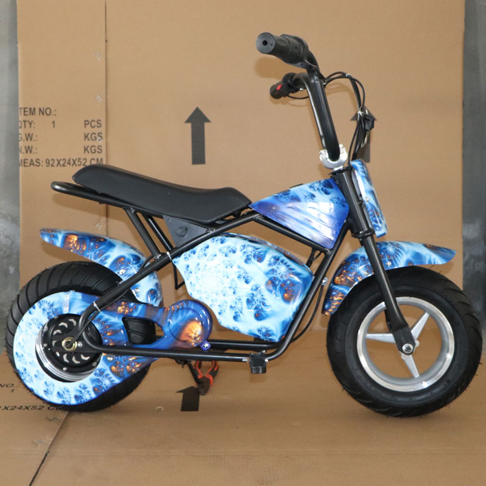 E7-110 Electric bike