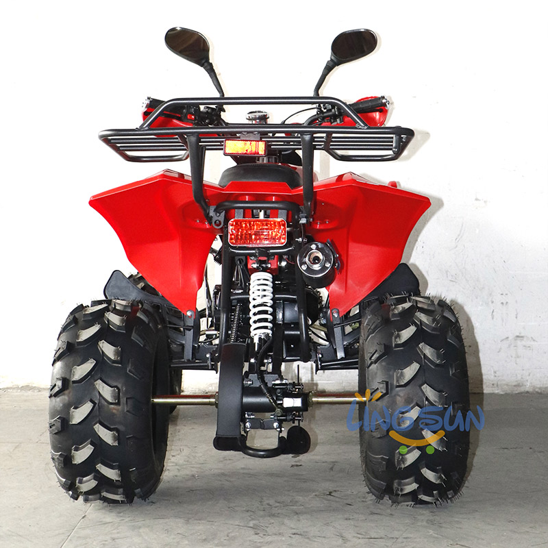 125cc ATV Quad (A7-05)