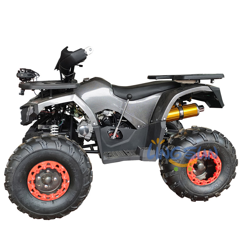 125cc ATV Quad (A7-22C)